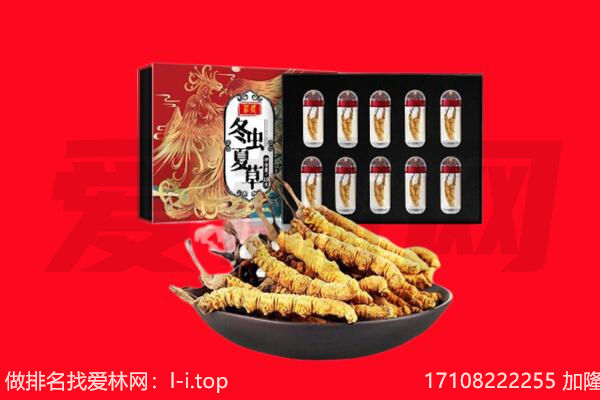 金湾区回收虫草.jpg